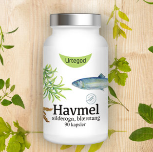 Havmel