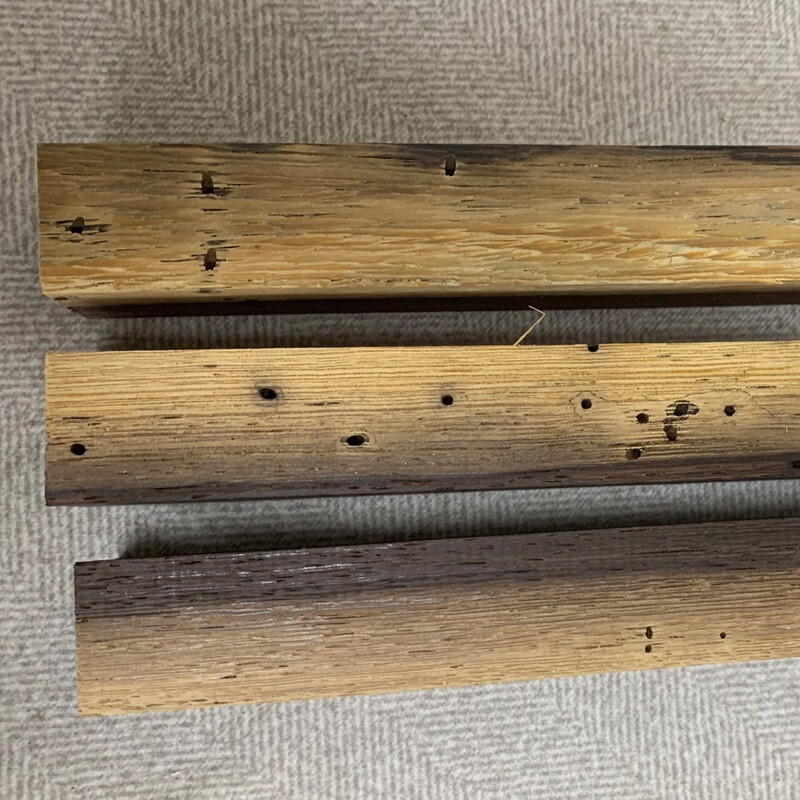 Wengè mit Wurm und Splint
