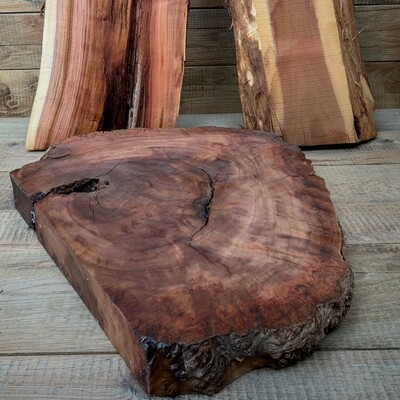 Schalenholz