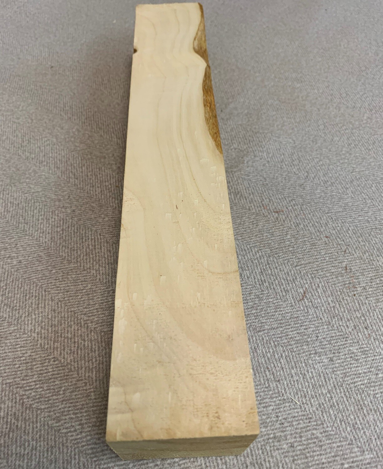Thuja Holz