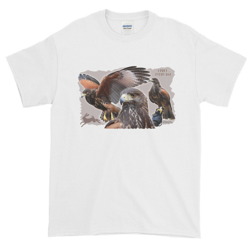 Harris Hawk - Prey Every Day Harris Hawk - Prey Every Day
