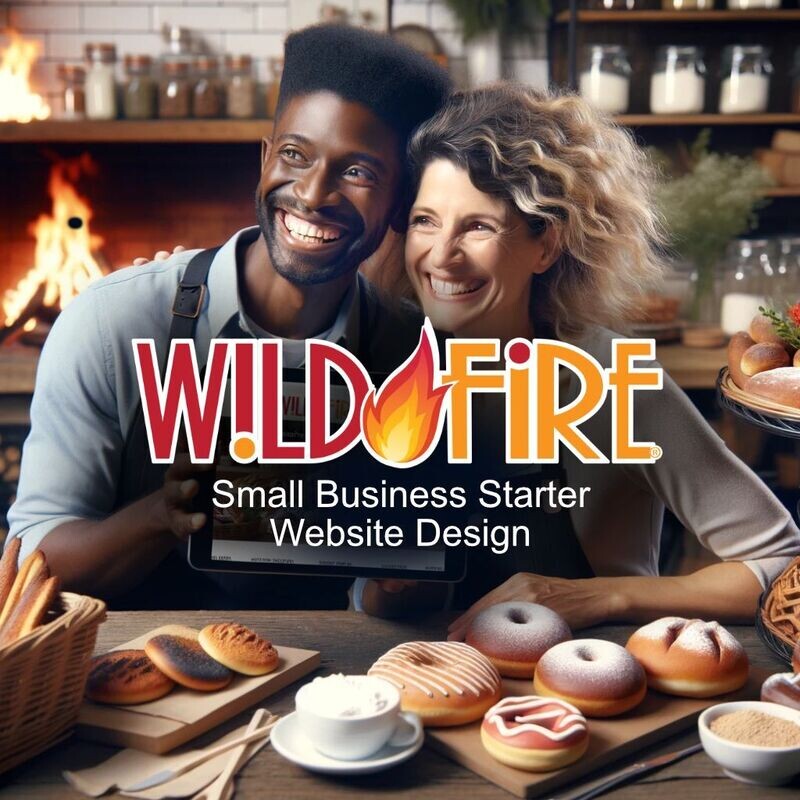 New Business Starter Website Design