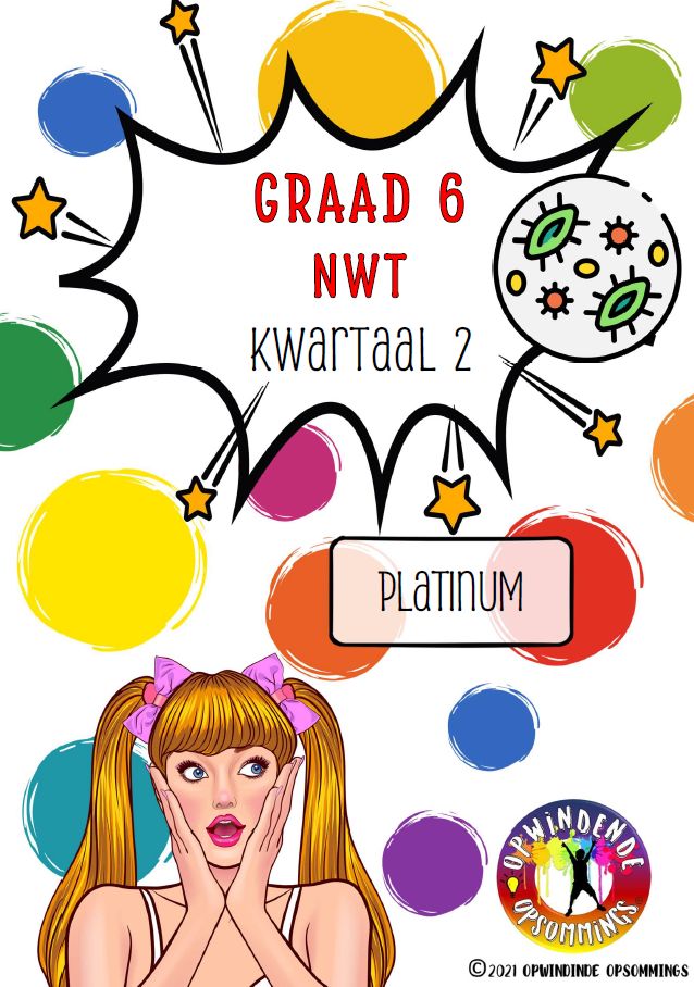 Graad 6 NWT - Platinum Kw 2
