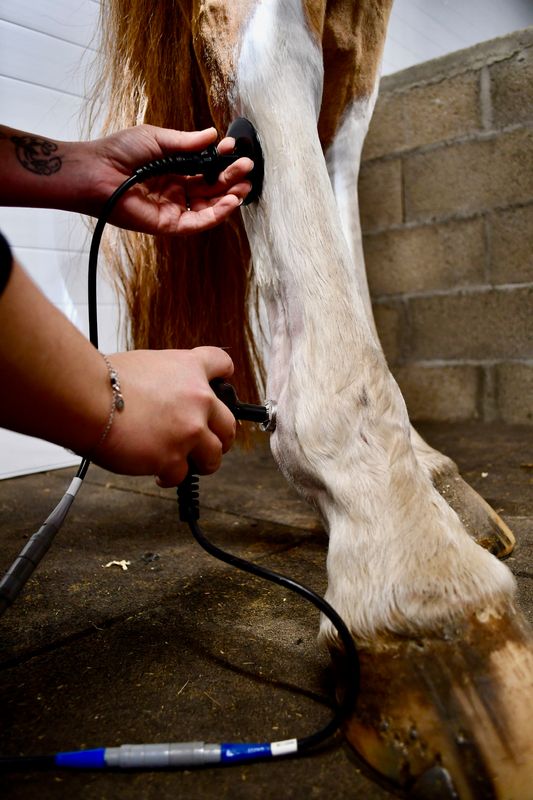 TECAR-THERAPIE WINBACK