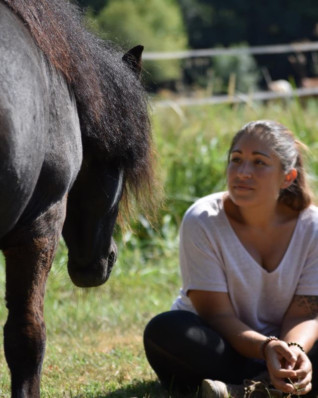 COMMUNICATION ANIMALE