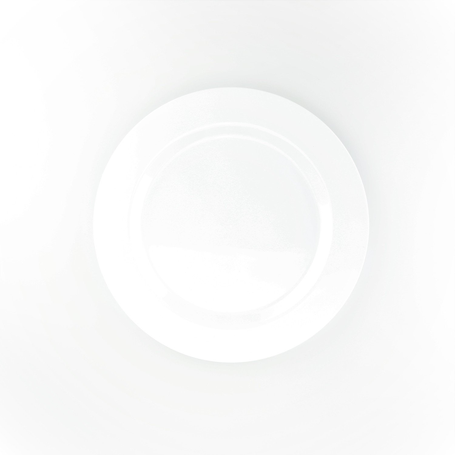 9&#39;&#39; Luncheon Plate - 1 PIECE SAMPLE -