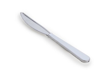 Plastic White / Silver Knife