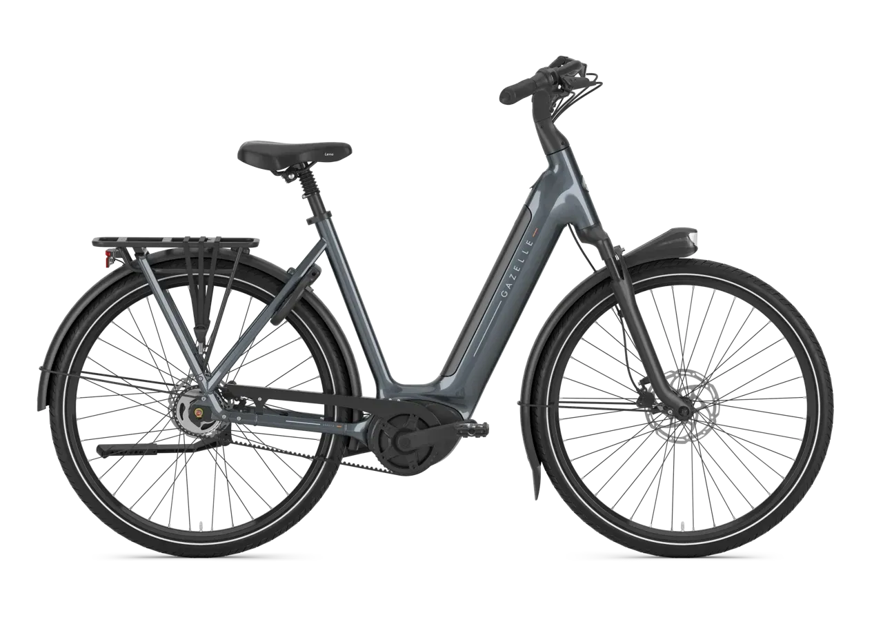 Gazelle Arroyo C5 Elite, Couleur: Gris, Taille: P/M (45)