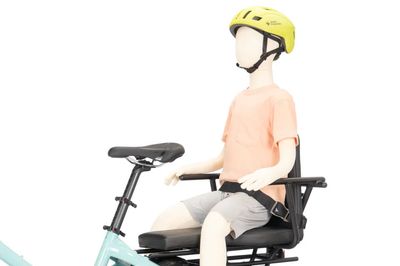 Tern Sidekick seatbelt