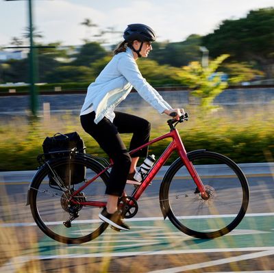 Trek FX3 «Genuine and Great Gérald»