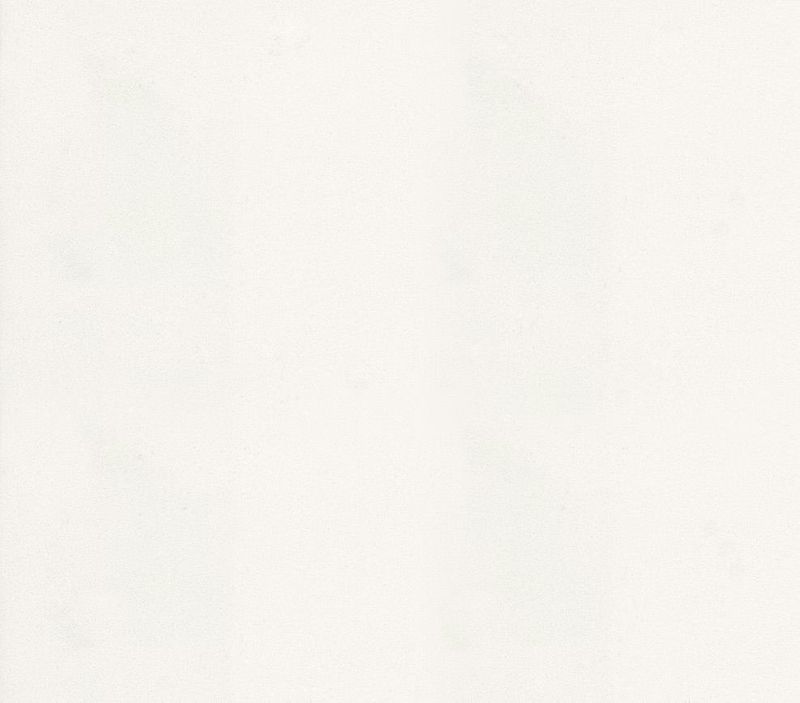 Image tranche quartz silestone blanco zeus