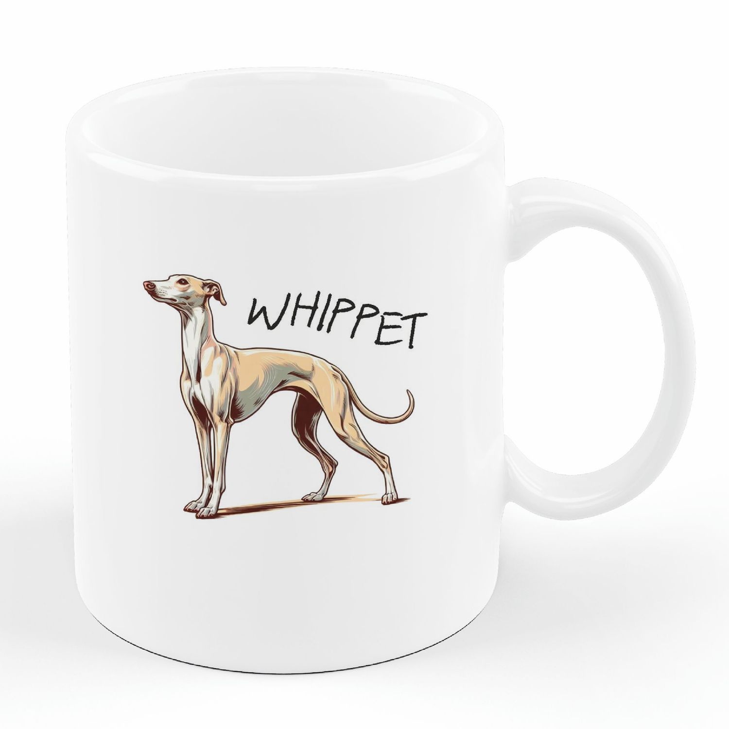 Whippet