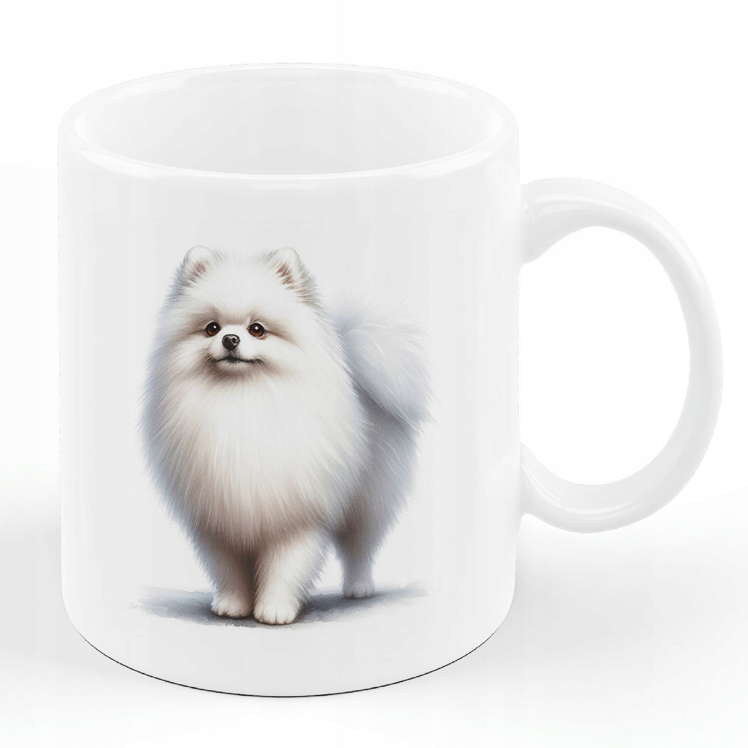 Pomeranian Szpic miniaturowy