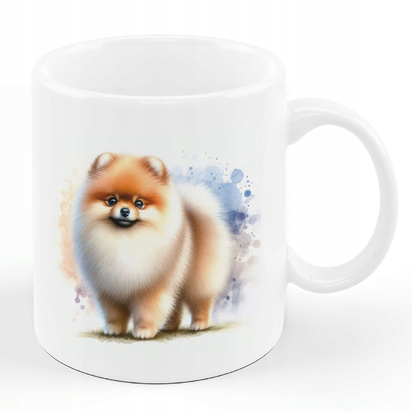 Pomeranian Szpic miniaturowy