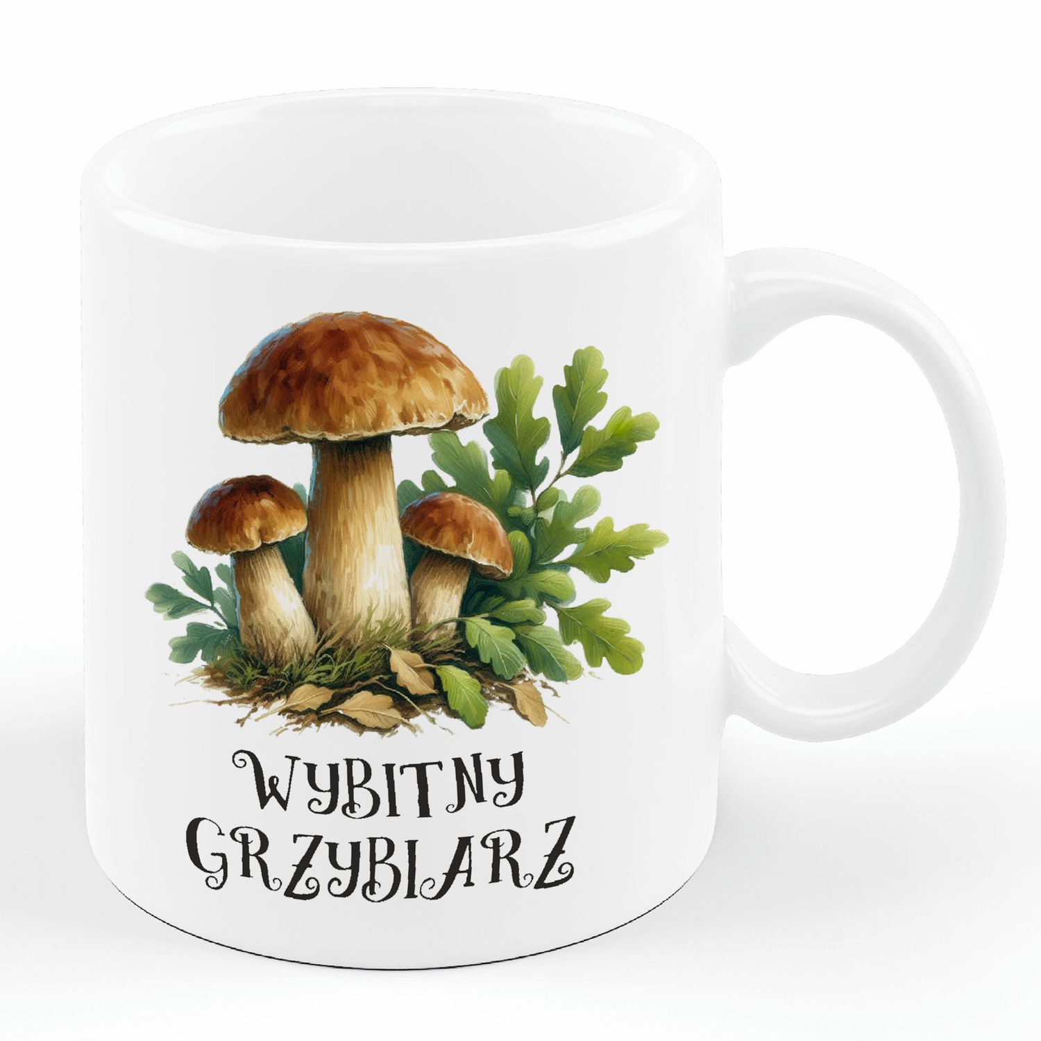 Grzybiarz Grzyby Jesień