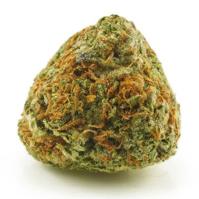 Grapefruit (Sativa)