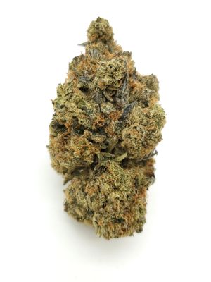 Tangie (Sativa)