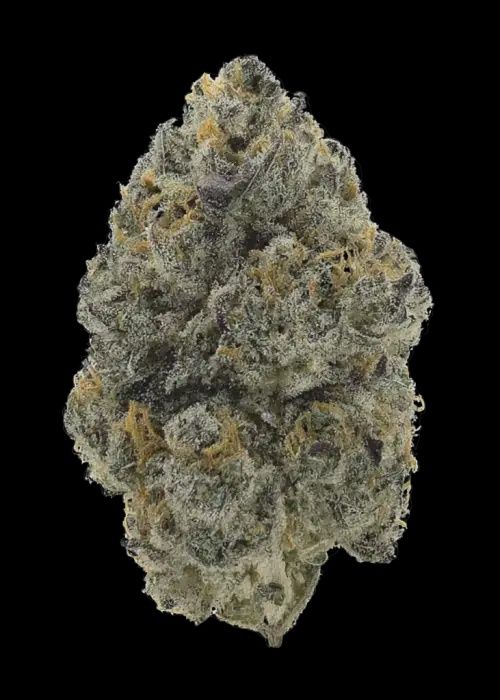 Gorilla Glue (Hybrid)