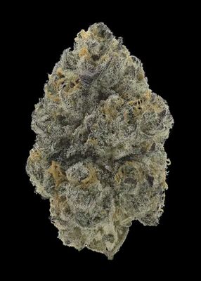 Gorilla Glue (Hybrid)