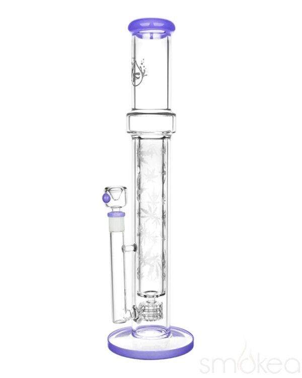 Pulsar Double Wall Perc Tube Water Pipe | 16.75″ | 14mm F, Color: purple