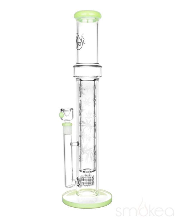 Pulsar Double Wall Perc Tube Water Pipe | 16.75″ | 14mm F