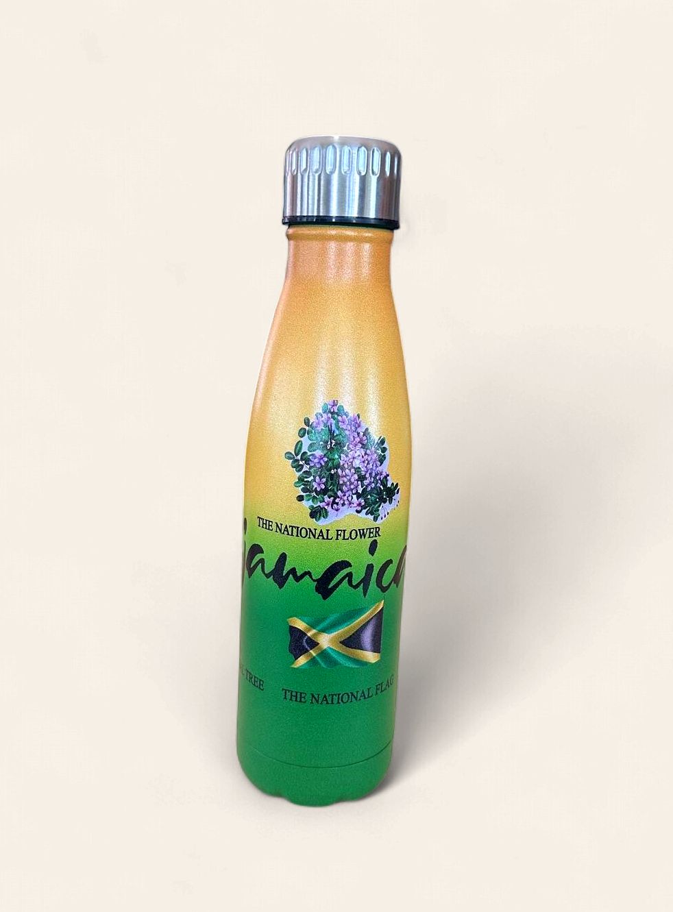 17 oz insulated stainless steel water bottle