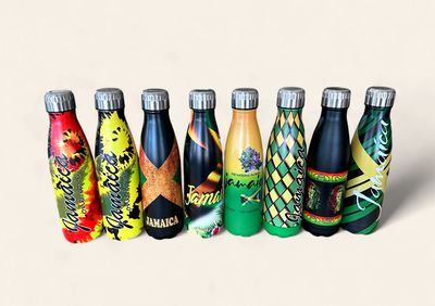 17 oz insulated stainless steel water bottle
