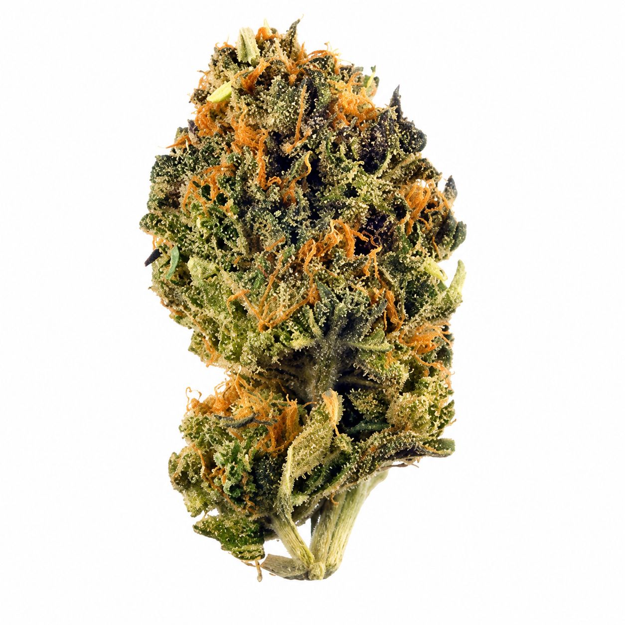 Purple Trainwreck (Hybrid)