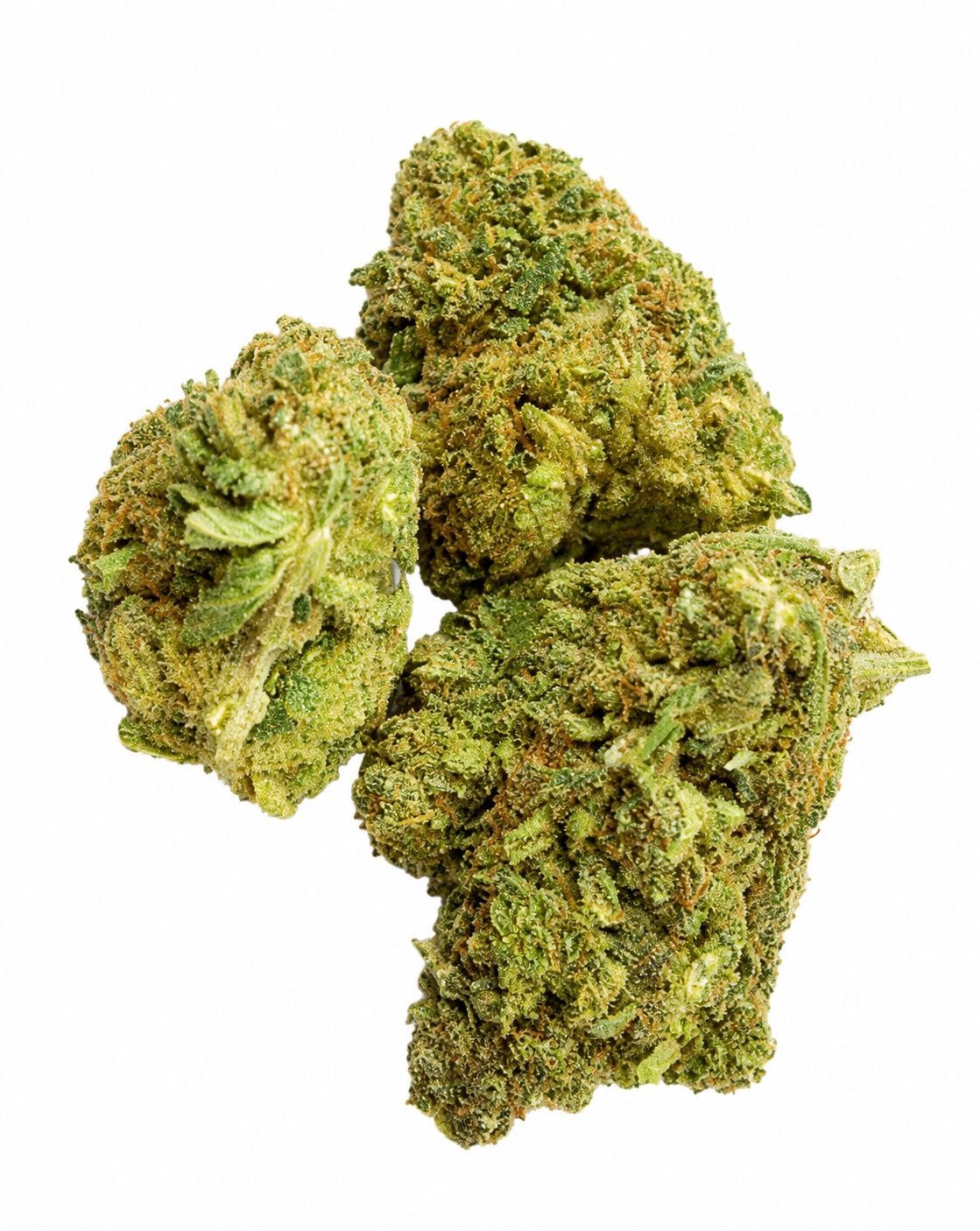 Banana Tangie (Hybrid)