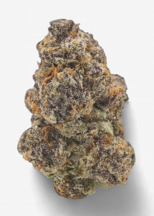 Cherry Gelato (Hybrid)