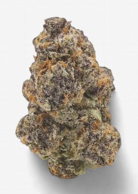 Cherry Gelato (Hybrid)