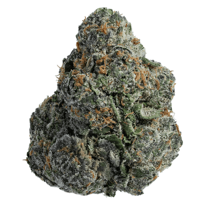Purple Nerds (Hybrid)