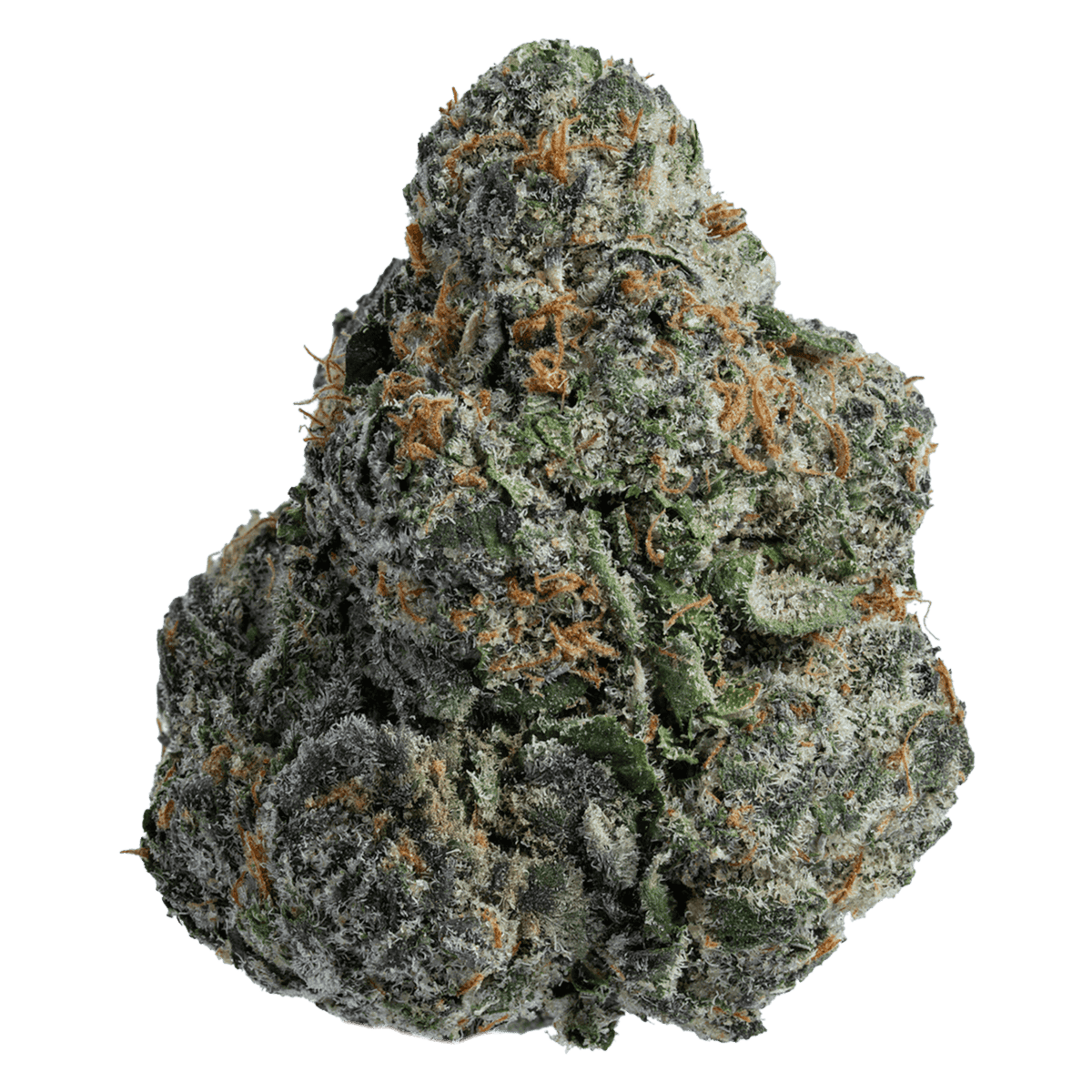 Purple Nerds (Hybrid), Weight: 1 gram