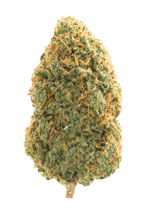 Gorilla Glue (Hybrid)