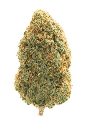 Gorilla Glue (Hybrid)
