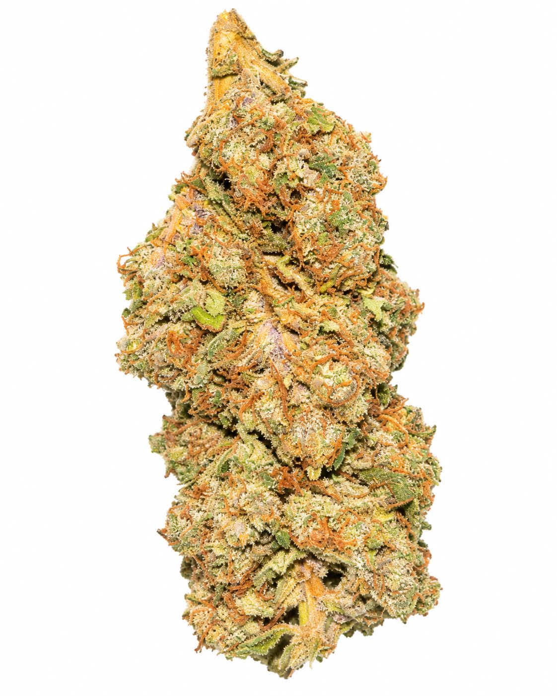 Colombian Cookies (Hybrid)