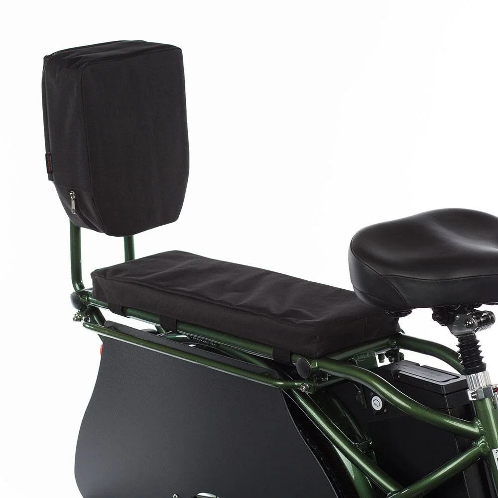 Passenger Package for Pedego Stretch