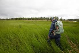 Backpacks