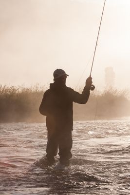 Fly Rods