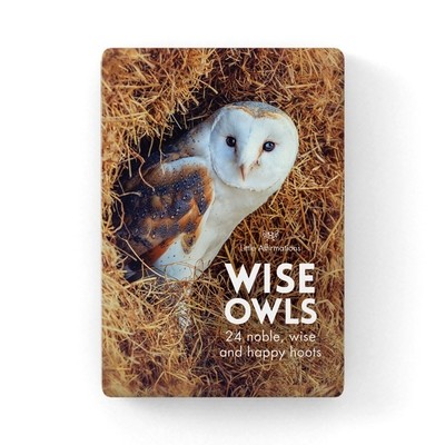 貓頭鷹心靈信息卡 (Wise Old Owls)