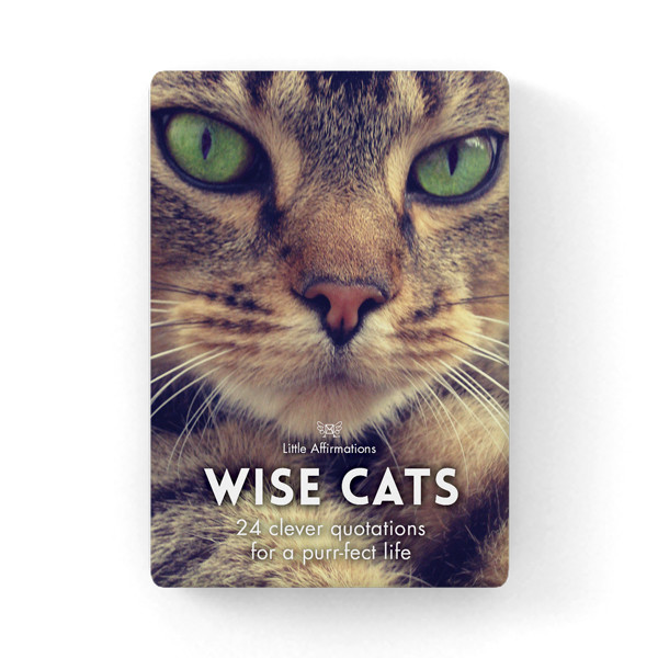 貓貓心靈信息卡 (Wise Cats)