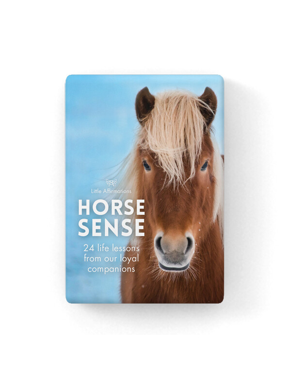 心靈信息卡 - 馬的智慧 Horse Sense