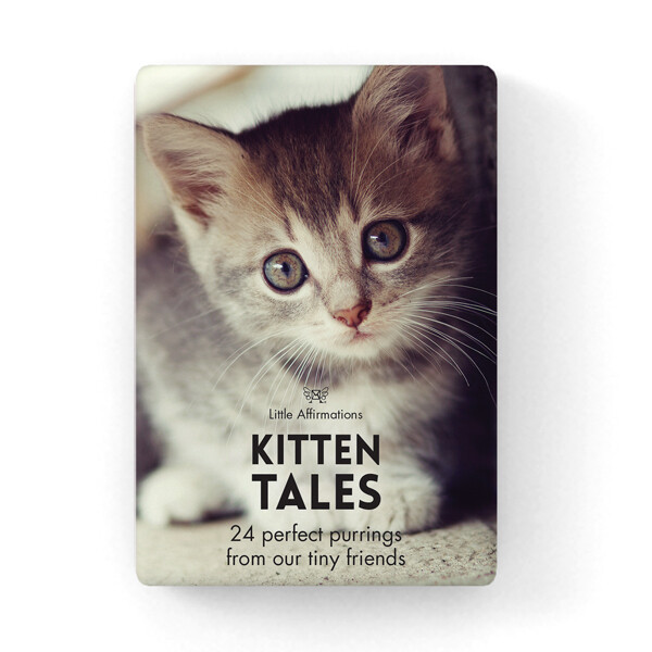 心靈信息卡 - 小貓的故事 Kitten Tales