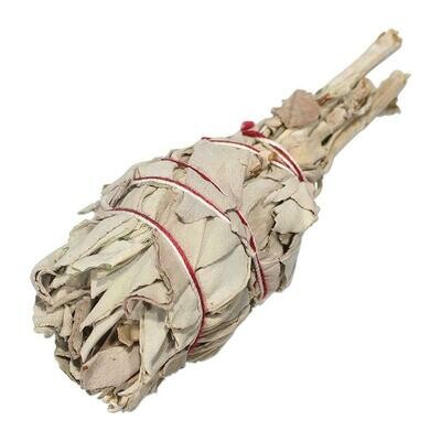 White Sage 鼠尾草 （火炬型）