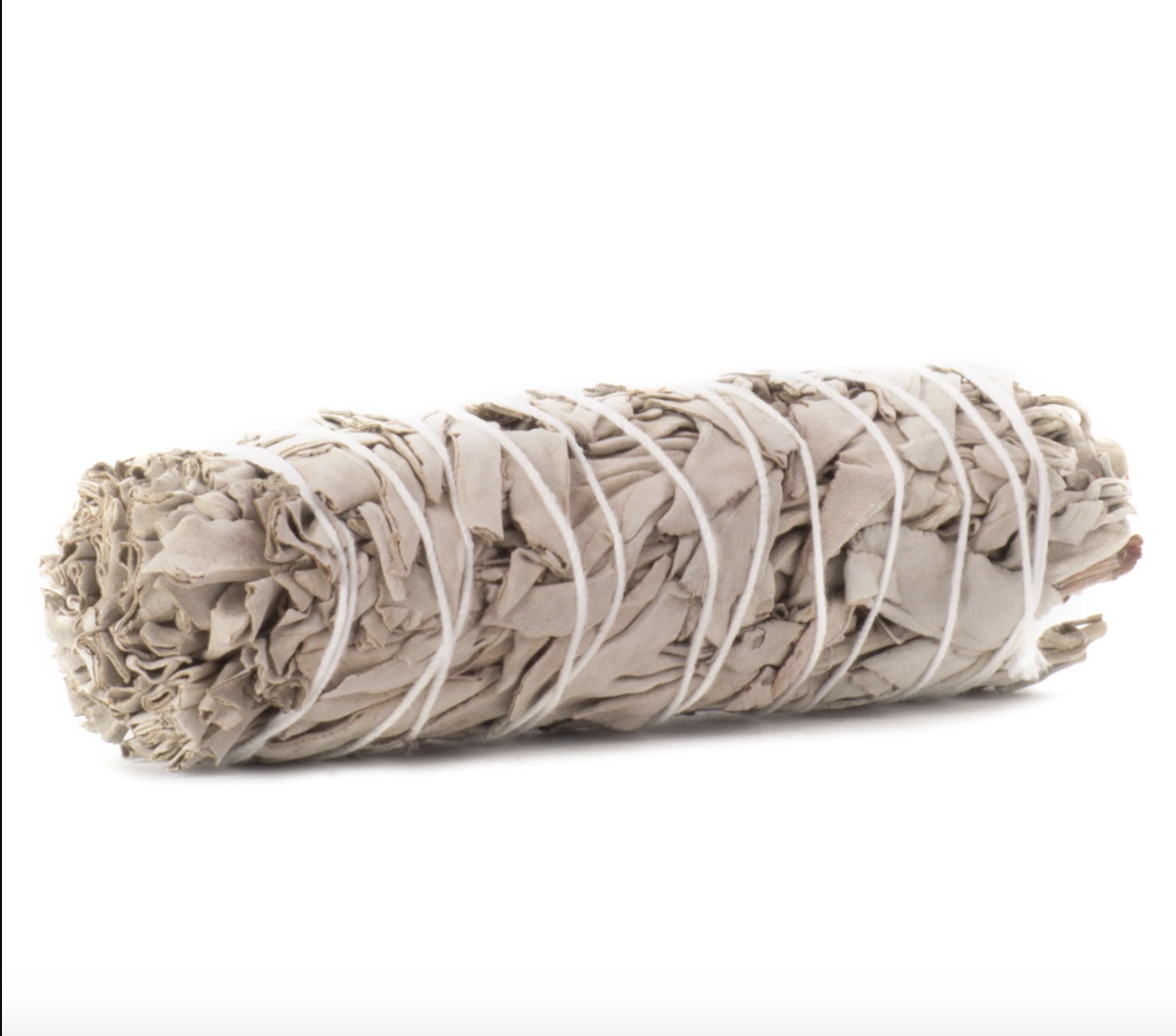 White Sage 鼠尾草 （長條型）
