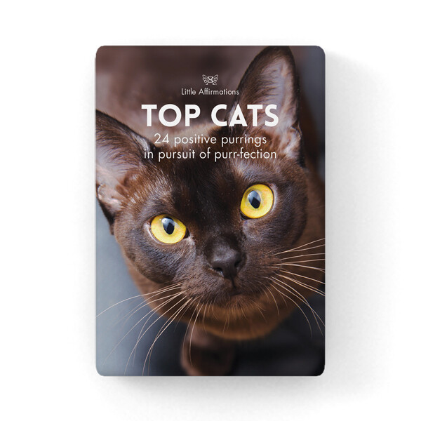 來自至貓貓的靈性指導信息卡 (Top Cats)