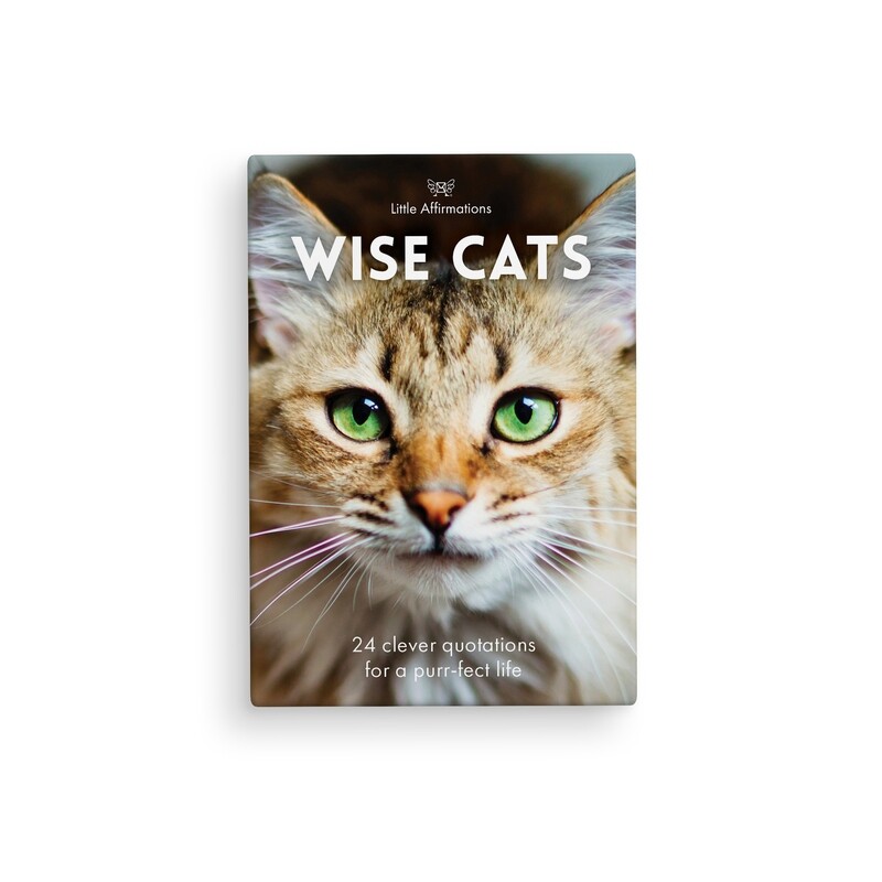 貓貓心靈信息卡 (Wise Cats)