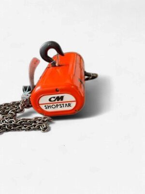 CM 1000 Lb Cap Electric Hoist