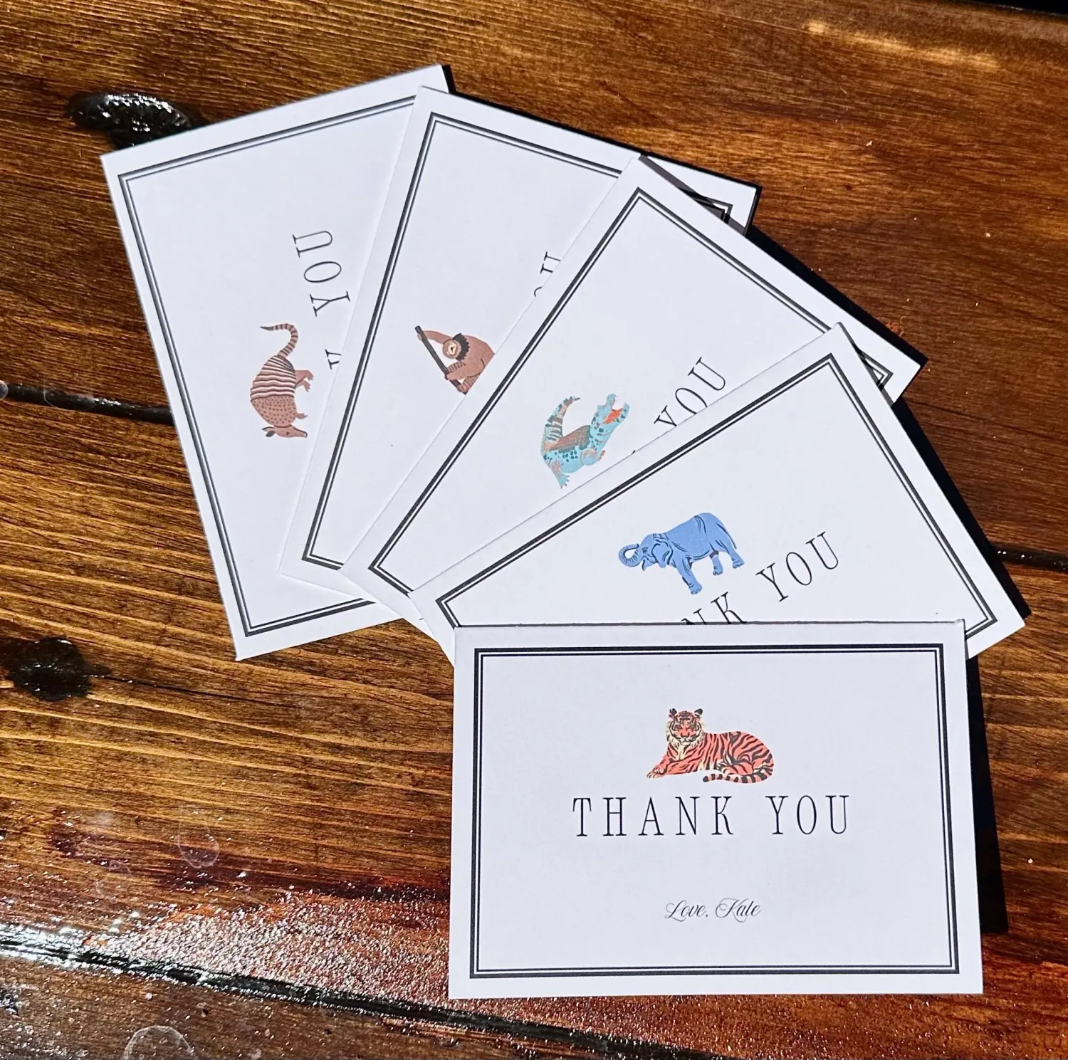 Safari Thank You Card Set