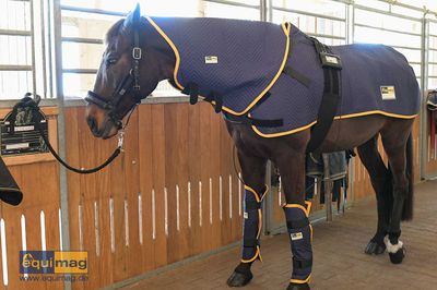 Equimag Profi Set